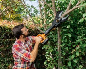 battery powered wood cutter jawsaw